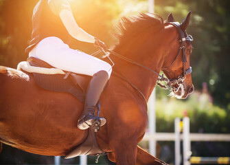 A fast bay horse with a dark mane and a rider in the saddle gallops through the arena at a show...