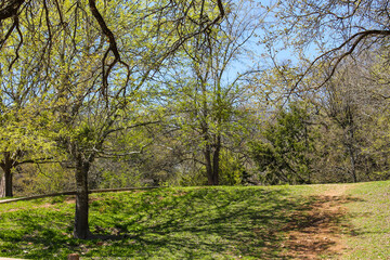 spring in the park