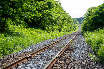 Fototapeta premium まっすぐに伸びる田舎の線路 北海道富良野市