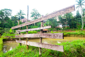 Fototapeta premium Wood on the fields
