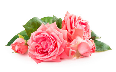 Fish shape Cod Liver Oil Capsules, Omega 3