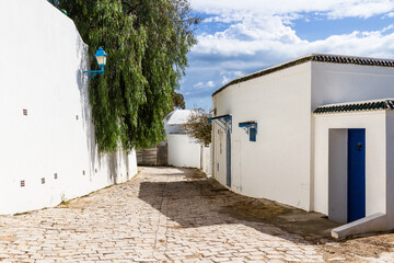 Fototapeta na wymiar The typic for street with the white houses, blue doors and windows, Blue town in Tunisia, Sidi Bou Said, Nord Africa