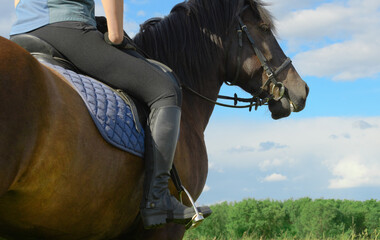 Female rider is sitting in her saddle with loose reins in outdoors, behind view. Woman and her bay horse are in rural, close-up.