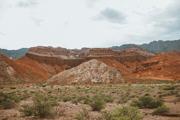 paisaje tipico del norte argentino