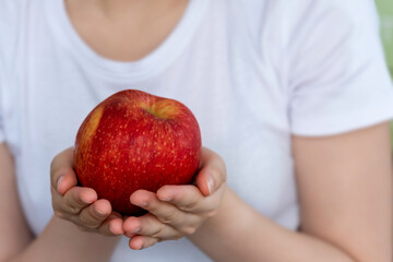 Hand hold red apple , good fruit for health concept.
