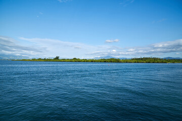 Floating mangrove forest on the sea, Fiji. 
