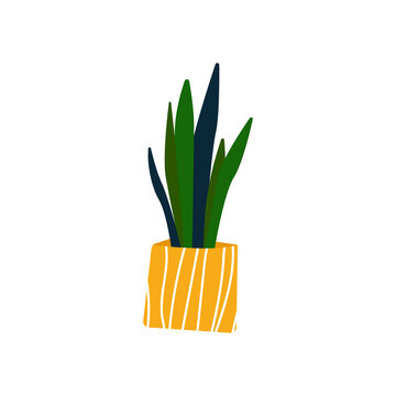 flat vector, icon, flower in a pot, on white background
