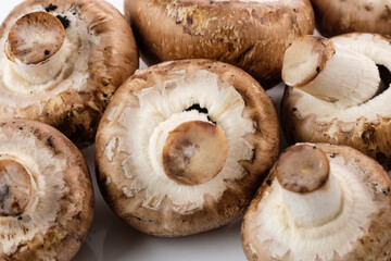 Nahaufnahme / Detail / Makro: Brauner Champignon (lat.: Agaricus bisporus)
