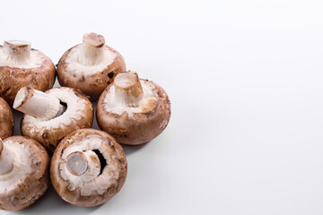 Mehrere braune Champignons links im Bild, rechts freie weiße Fläche