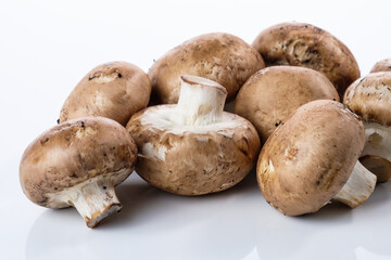 Braune Pilze / Champignongs auf einem weißen Hintergrund - von vorne betrachtet
