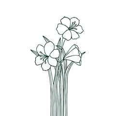 Bouquet of flowers Lilies. Vector stock illustration eps10. Hand drawing.