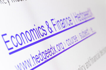 Internet search results for financial services and information with The links of imaginary no-existing websites on display, close up.