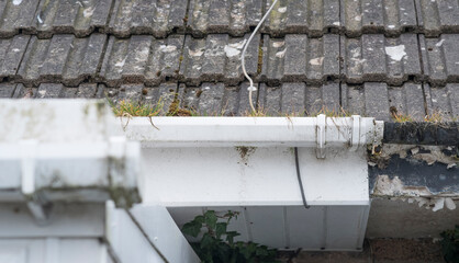 Dirty clogged white plastic pvc gutters and drain pipes with mossy green mould on plastic fascias. ...