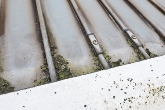 Dirty clogged white plastic pvc gutters and drain pipes with mossy green mould on plastic fascias.  Blocked drains and guttering need window cleaners and regular yard  maintenance for good drainage.