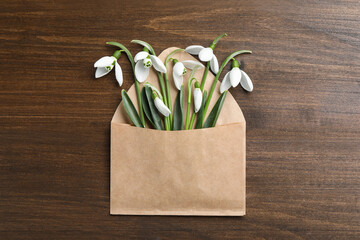 Beautiful snowdrops in envelope on wooden table, top view