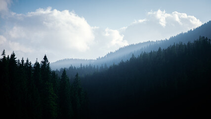 fog in mountains