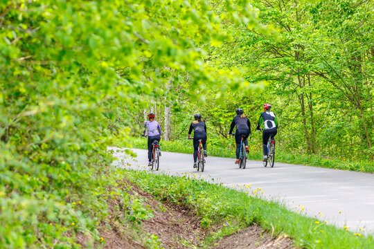 Exercise cyclists on a road in a deciduous forest in the summer
