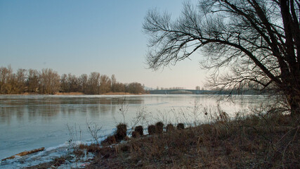 Gel sur la saône