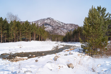 The bed of the Kyngyrga mountain river in early spring. Arshan resort, Republic of Buryatia,...