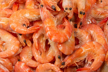 Shrimps background texture. A lot of shrimps. Cooked shrimps.