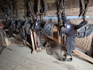 Saddles in a barn