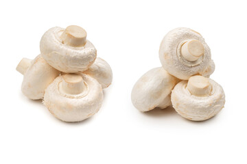 Champignon mushroom isolated on white background.