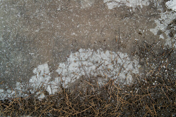 Dirt road. Soil texture background. Ground. Soil closeup and high detail. Ground surface. Late fall. Autumn. Frozen Puddle. Ice and Snow. Abstract background. Dry grass