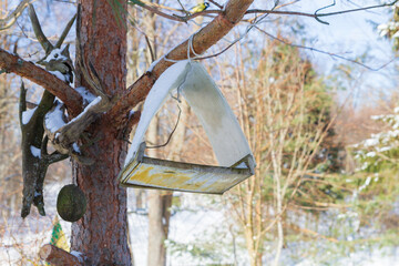 A bird feeder hangs on a tree in the village yard