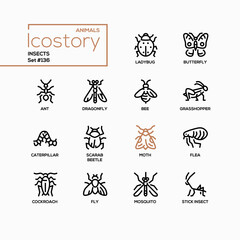 Insects collection - modern line design style icons set