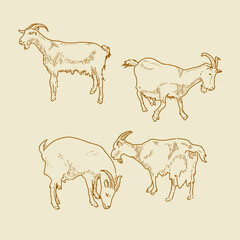 goats vector set