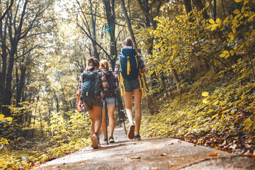 Mother hiking with her two daughter.They walking trough forest and joying in nature.Rear view.	
