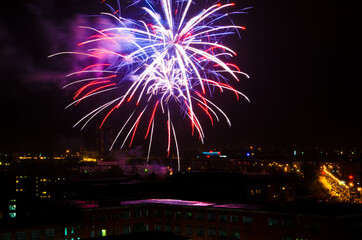 Fireworks on the background of the night sky. Celebration. Anniversary