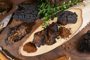 Chaga Mushroom on a wooden Table - Healthy Nutrition