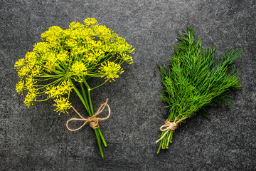 Freshly harvested garden herbs. Green fresh dill and flower of dill herb on dark background.