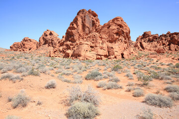 Fototapeta premium Valley of Fire State Park in Nevada, USA