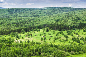 view of the green forest from above