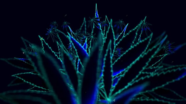 Background Reveals Cannabis Leaf - Night - Cannabis leaves jump out of the void into a beautiful composition of cannabis leaves. Use this as vj-loop is or as a background for your logo, text, photo...