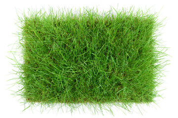 Wiese isoliert - Gras Hintergrund freigestellt auf weiß © ExQuisine