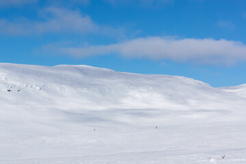 Fototapeta na wymiar Snow covered mountain with sunlight and shadows.Shot in Sweden, Scandinavia
