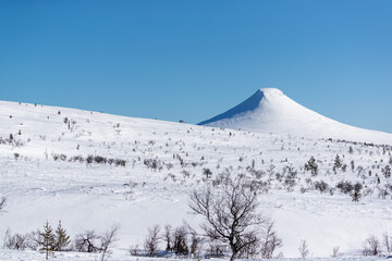 Fototapeta premium Snow covered mountain with sunlight and shadows.Shot in Sweden, Scandinavia