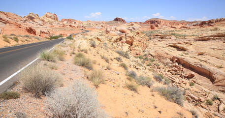 Rural road in Nevada, USA