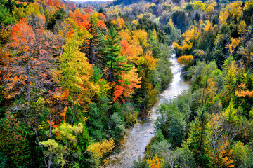 Fototapeta premium Aerial view of an autumn morning in the National Park with maple trees in Canada.