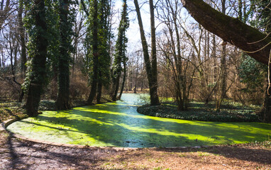 Spring time in the park of Alcsut Arboretum