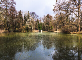 Spring time in the park of Alcsut Arboretum