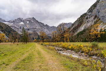 maple trees at Ahornboden, Karwendel mountains, Tyrol, Austria