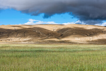 natural scenery of Tibetan countryside and barley wheat fields