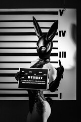 Sexy playboy girl in black leather suit in the background of mugshot ruler