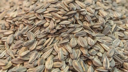 Sunflower seeds. Vegetarian food nuts and seeds