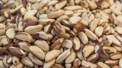 Brazilian nut. Vegetarian organic food. Nuts and seeds
