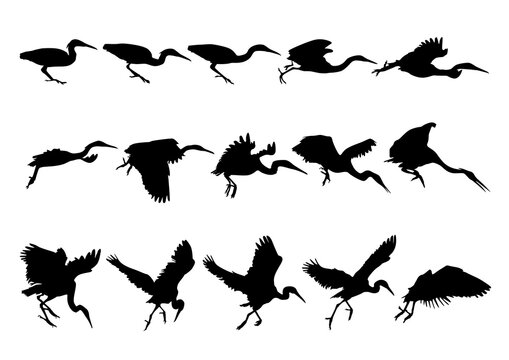 herons set of silhouettes of birds shadow